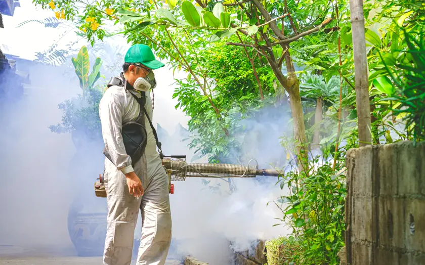 Tratamiento de mosquito tigre en Granollers — Vallès Plagas
