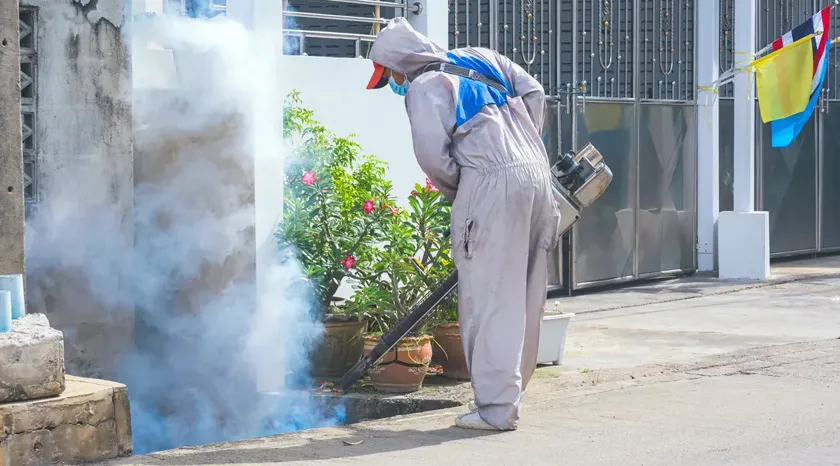 Control de plagas para viviendas particulares en Granollers — Vallès Plagas